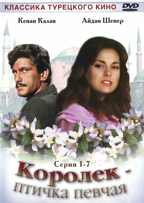 Королёк – птичка певчая постер